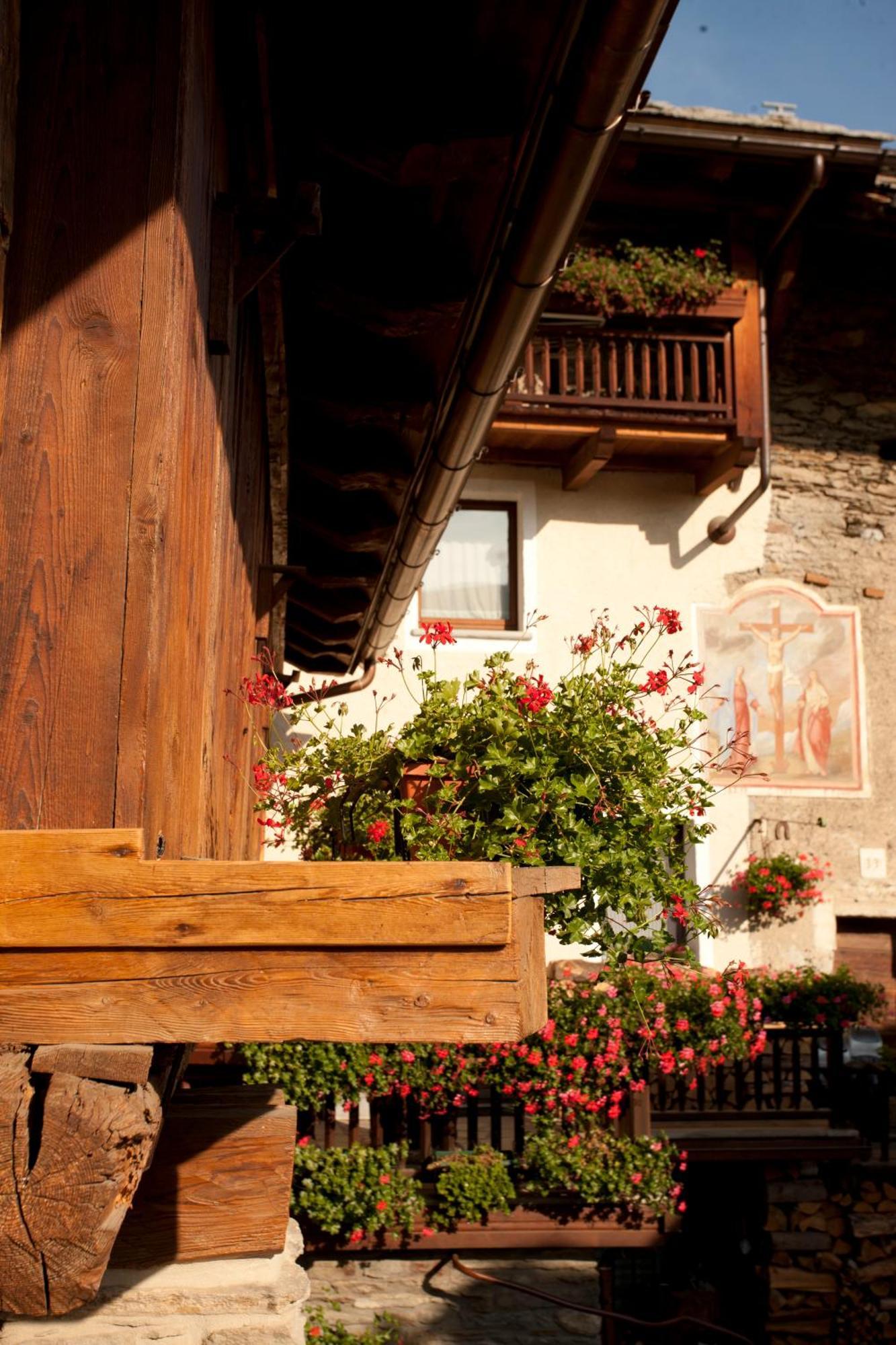 Apartamento Il Fienile Della Nonna Introd Exterior foto